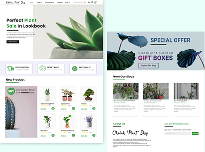 UI Design Plant Shop app branding clean cleandesign colour design designwebsite figma growing illustration knowledge landingpage plant selling typography ui uidesign uiux ux website