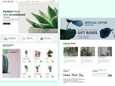 UI Design Plant Shop