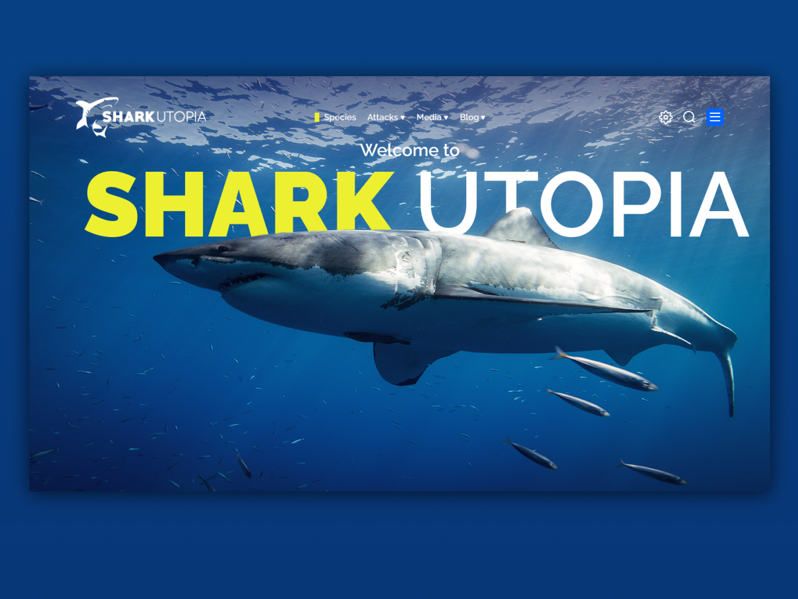 Header site Design Shark Utopia by Ghaluh Wizard Anggoro on Dribbble