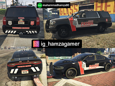 Custom PATROL Public Safety Livery design design fivem gaming graphic design gta gtaonline