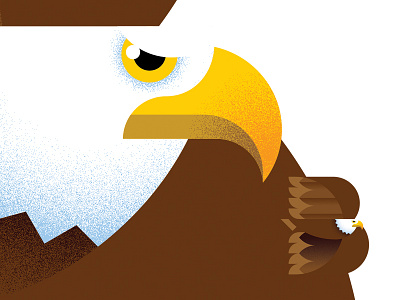 B is for Bald Eagle