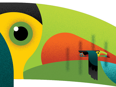 T is for Keel-Billed Toucan