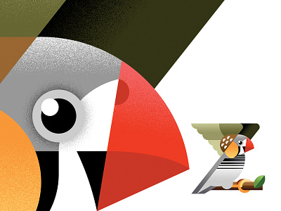 Z is for Zebra Finch