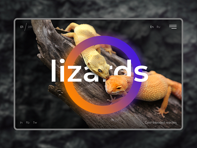 lizards web design design ui ux