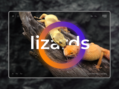 lizards web design