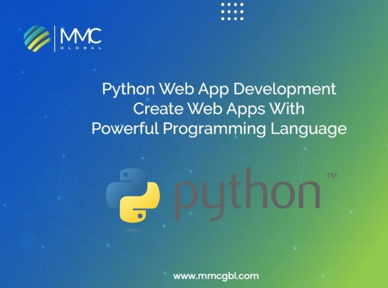 Python Web App Development Create Web Apps by MMC Global on Dribbble