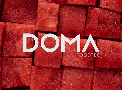 Doma Food Tec brand brandidentity branding food food processing graphic design logo wordmark