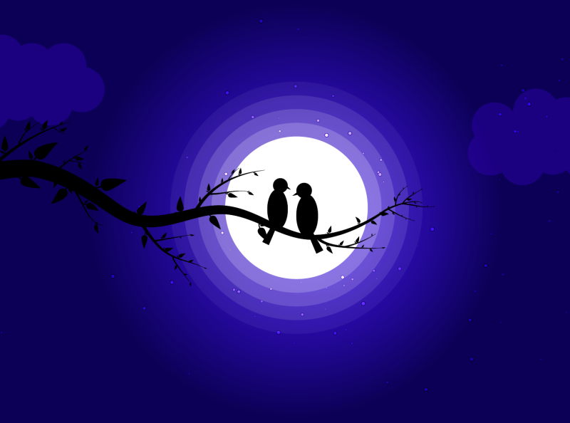 Moon Birds Illustration by Alex jr on Dribbble