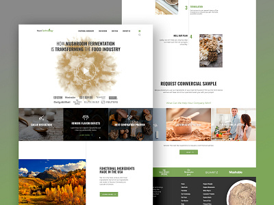 MycoTechnology Landing Page eco landing page web web design