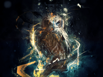 Advancing Progress cyber design effect owl photoshop retouching scifi