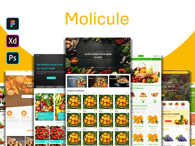 Vegetables eCommerce Different Different Home page branding graphic design ui