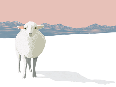 Snow Sheep (Poster Design)
