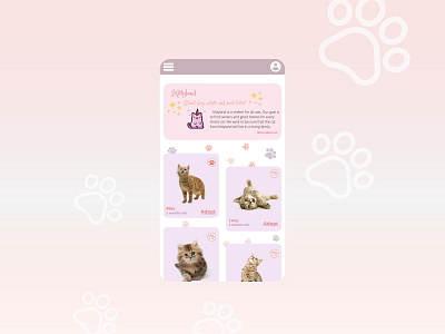 Daily UI 003 003 adoptcats android animals animalshelter app cats dailyui dailyui003 design ui ux uxui visualdesign webdesign