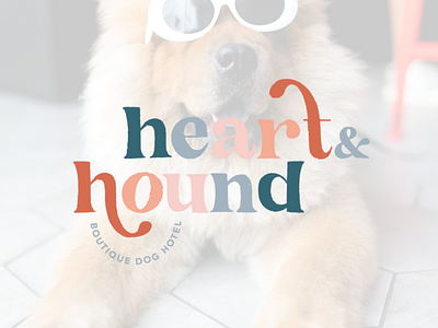 Heart & Hound | Boutique Dog Spa and Hotel design graphic design logo design spa branding spa logos