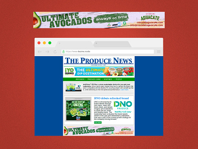 Banner for "The Produce News" newsletter. Aug21 avocado avocados banner casa del aguacate content creation design graphic design illustration newsletter