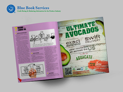 Full page insert for Blue Book monthly Publication avocado avocados branding casa del aguacate content creation design graphic design illustration