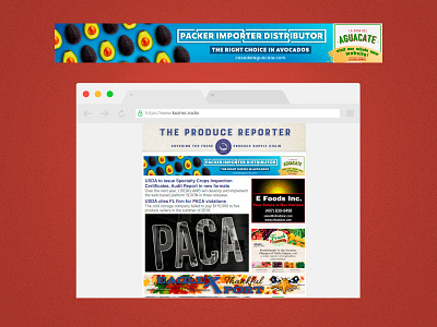 Oct 21 Newsletter banner for La Casa del Aguaate (c) avocado avocados banner branding casa del aguacate content creation design graphic design illustration jpg newsletter png