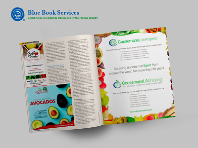 Magazine Ad for La Casa del Aguacate (c) avocado avocados casa del aguacate design graphic design illustration