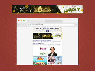 Banner for daily email newsletter for La Casa del Aguacate (c) avocado avocados branding casa del aguacate design graphic design illustration