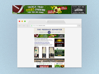 The Produce Reporter Daily Newsletter banner for tHoA avocado avocados casa del aguacate design graphic design illustration