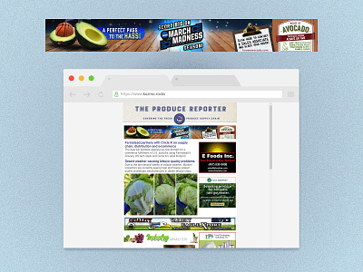 Banner design for "The Produce Reporter" daily newsletter avocado avocados branding casa del aguacate design graphic design illustration