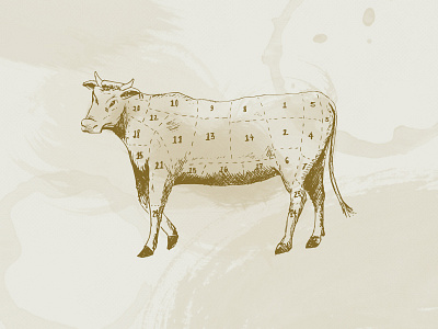Butcher-Cut Illustration butcher butcher illustration cow hand illustration illustration meat meat illustration