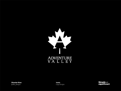 ADVENTURE VALLEY - Canadian Summers Camp 3d animation brand brand logo branding creative design geometrical logo graphic design illustration logo logo mark logo type modern modern logo motion graphics typography ui ux vector