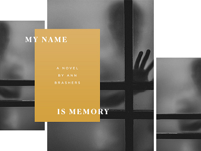 My Name Is Memory 100 days project black and white book titles glass gold memory name