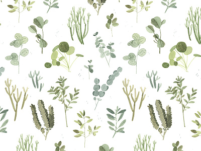 Plant Pattern