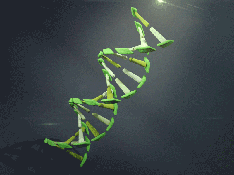 cydna c4d cycles cycles4d dna