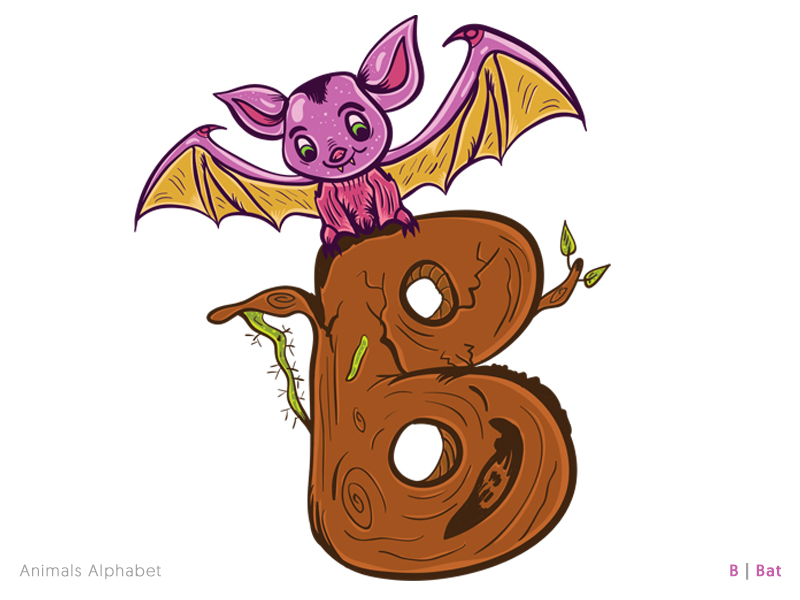 Animals Alphabet Project - B|Bat By Khater On Dribbble