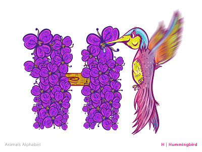 Animals Alphabet Project - H|Hummingbird alphabet animals book coloring concept hummingbird illustration modern type typography vector