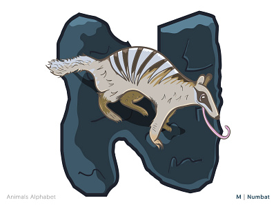 Animals Alphabet Project - N|Numbat