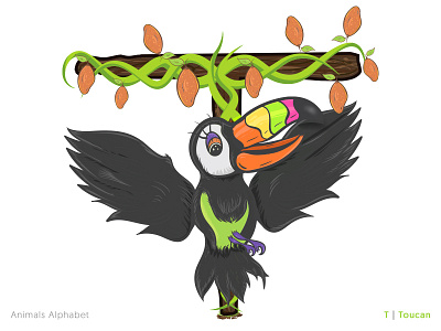 Animals Alphabet Project - T|Toucan