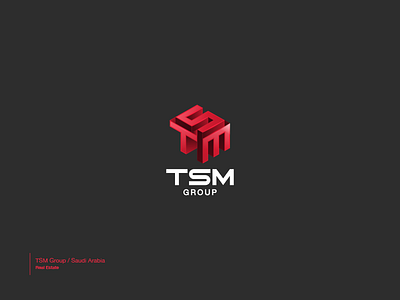 TSM Group 3d logo branding isometric logo real estate