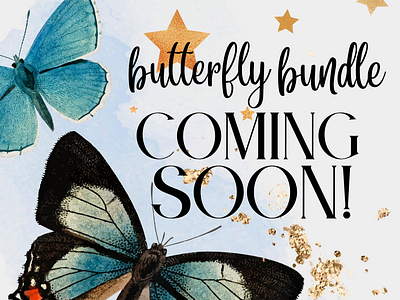 Butterfly Bundle Promo graphic design promo