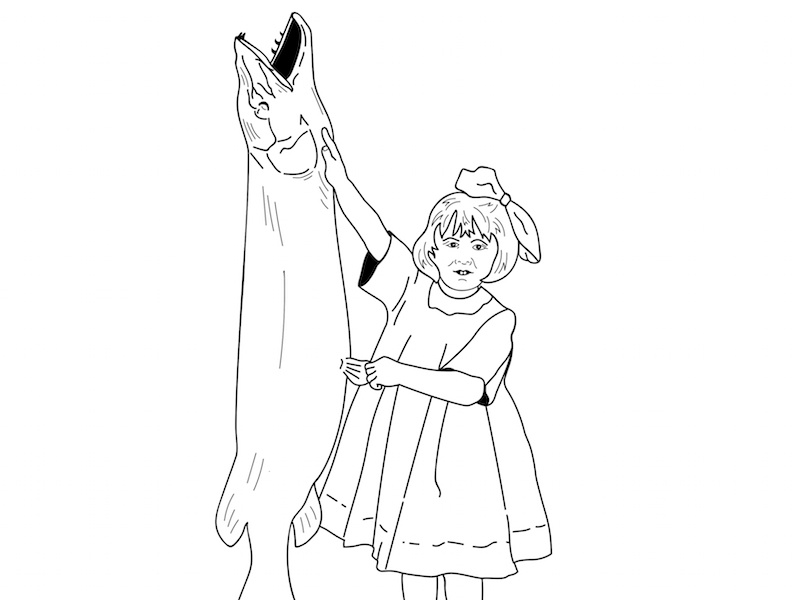Girl And Fish Drawing Copy 2 illustration