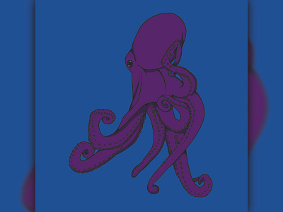 PULPO design flat graphic design illustration vector