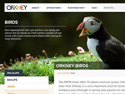 Dribbble Orkney background banner menu navigation web design website