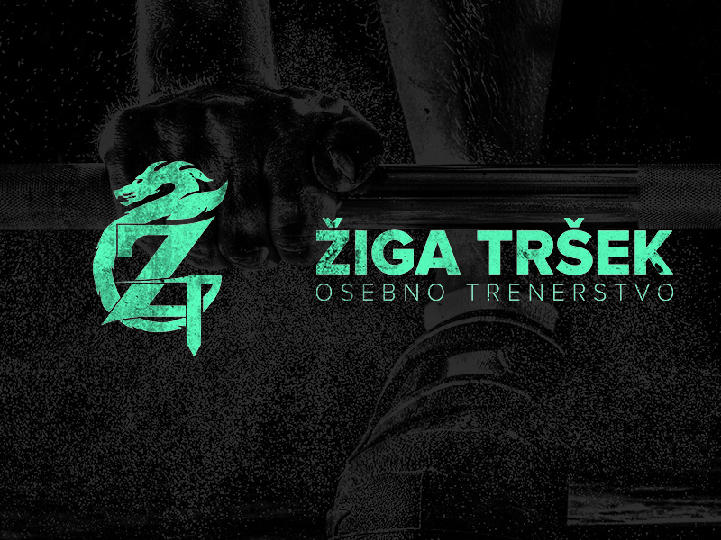 Dragon Mark - Personal Training gym training personal slovenia logo dragon mark