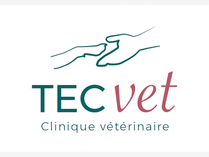 Veterinary schedule animation adobe xd animation appointment colorlavie design france html 5 hype3 layout logo poitiers tumult hype veterinary webdesign xd xddailychallenge