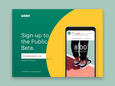 Wary, Your Personal Financial Advisor android pixel 2 ui web web design