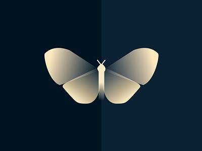 Streetlight Animations animation butterfly gradient illustration lottie map napoleon vector