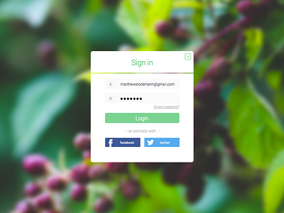 login form2