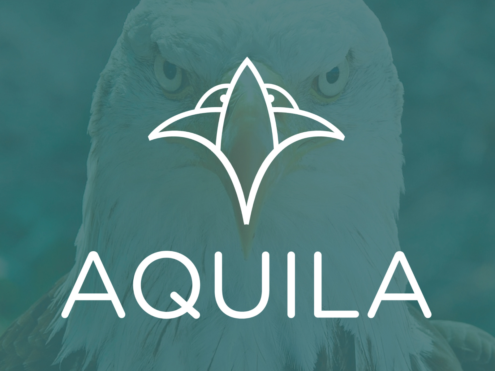 AQUILA LOGO DESIGN by Jakaria Alam on Dribbble