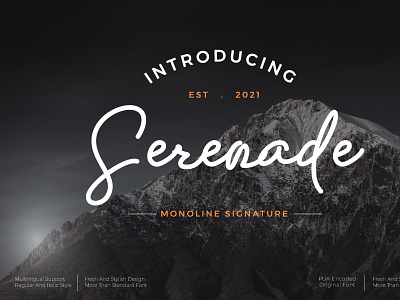 Serenade font branding design font illustration letter logo typography ui ux vector