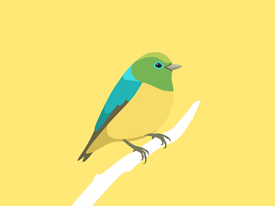 Blue-naped chlorophonia animal bird blue branch flat green illustration yellow