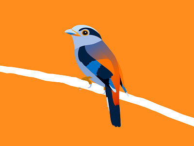 Silver-breasted broadbill animal art bird blue branch broadbill flat illustration orange