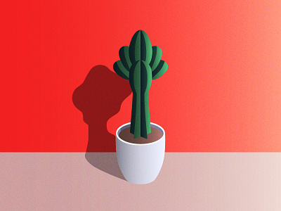 cactus cactus green illustration plant pot shadow