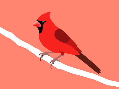 Northern cardinal animal art bird branch flat illustration red
